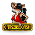 Cats & Cash